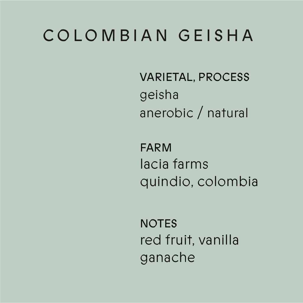 Colombian Geisha, Quindio (285g Whole Bean)